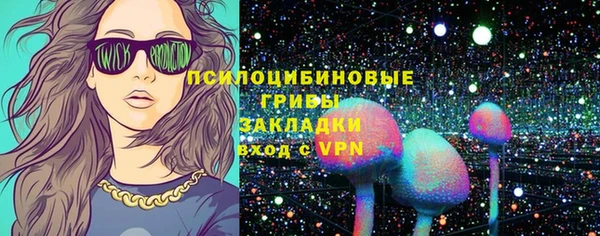 крисы Волоколамск