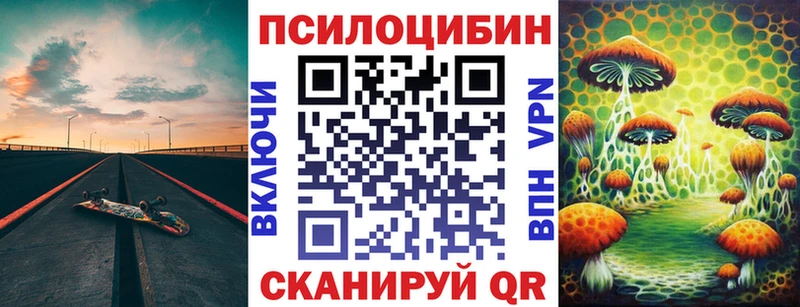 MEGA ссылки  Северобайкальск  мориарти телеграм  Галлюциногенные грибы Cubensis 
