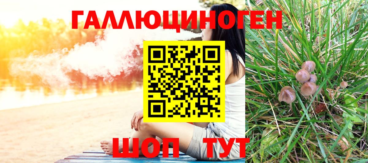 Галлюциногенные грибы Psilocybe  Вход с VPN  цены   Северобайкальск 